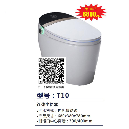 T10